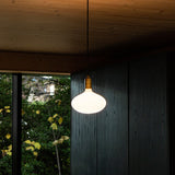 Oval Pendant Light in Brass