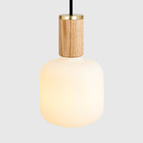 Oblo Pendant Light in Oak