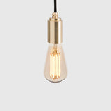 Squirrel Cage Plug-In Pendant in Brass