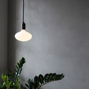 Oval Pendant Light in Graphite